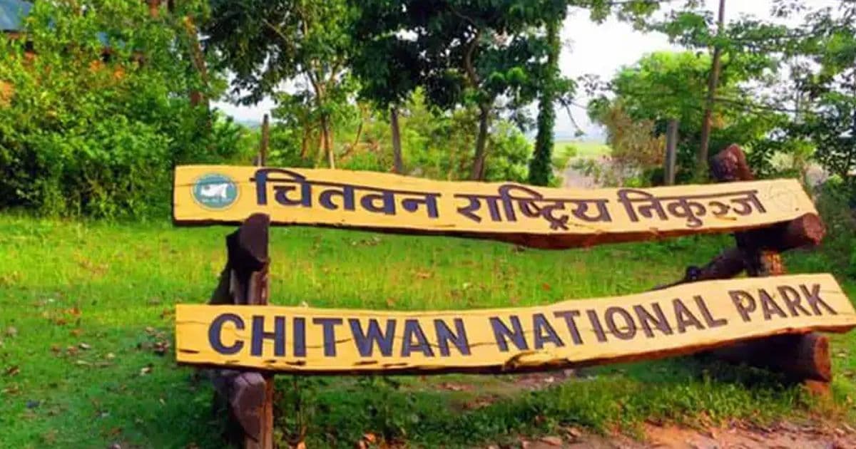 एक वर्षमा निकुञ्जसम्बन्धी कसुरमा ४ सय ४२ जना पक्राउ