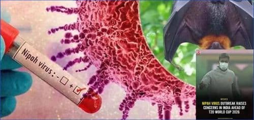 Concerns Raised Over Nipah Virus Handling Ahead of 2026 ICC Men’s T20 World Cup