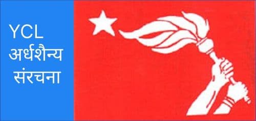 पार्टीका आ–आफ्नै अर्धशैन्य संरचना