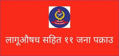 लागूऔषध सहित ११ जना पक्राउ