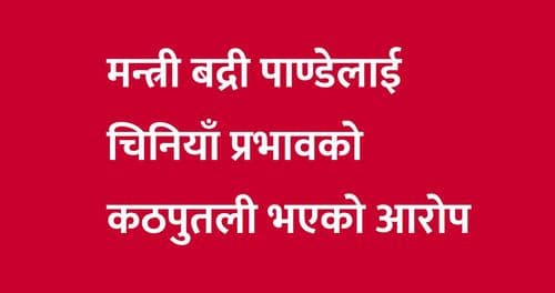 मन्त्री बद्री पाण्डेलाई चिनियाँ प्रभावको कठपुतली भएको आरोप