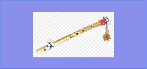 गीतकार आइटी इन्जिनियर रिमा श्रेष्ठका गीतहरू