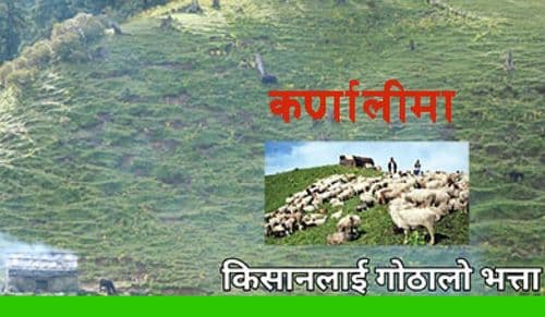 कर्णालीमा भेडा गोठालालाई भत्ता