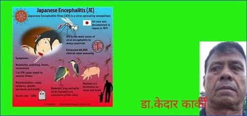 जापानी इन्सेफलाइटिस प्रकोप