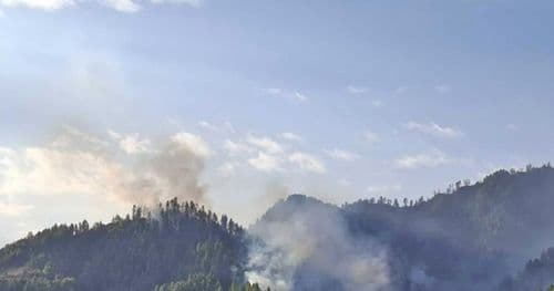 गोरखनाथ सामुदायिक वनमा आगलागी