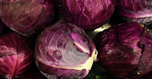 रातो बन्दाकाे मूल्य १८० अन्य तरकारीकाे मूल्य कति ?