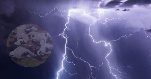 सङ्खुवासभामा चट्याङ लागेर ४० भेडा मरे