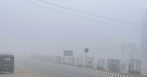 तराईमा हुस्सु र कुहिरो जनजीवन प्रभावित