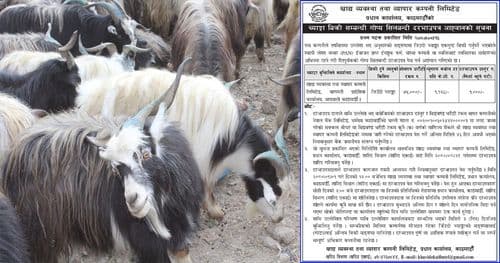 च्याङ्ग्रा नबिकेपछि खाद्यले लिलाम गर्दै