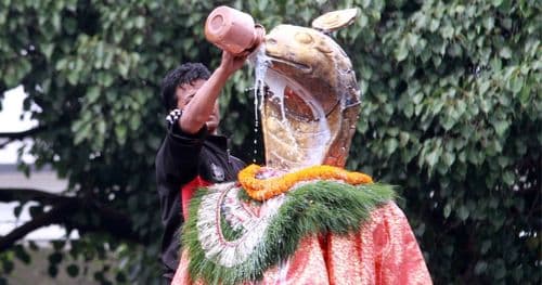 आज नागपञ्चमी पर्व मनाइँदै