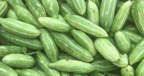 परबर (तराई) प्रतिकिलो २४० अन्य तरकारी तथा फलफूलकाे मूल्य कति ?