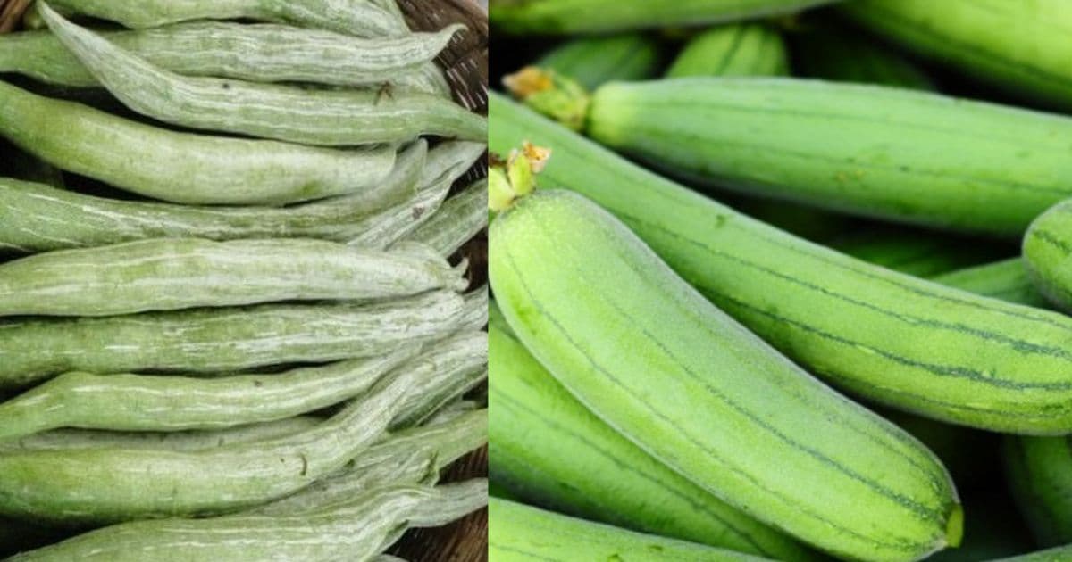 चिचिन्डो १ सय घिरौँला ८० रुपैयाँ अन्य फलफूल तथा तरकारीकाे मूल्य कति ?