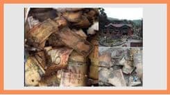 आगो एआईले लगाएको हो त ?